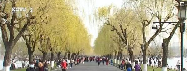 繁花结“金果” “赏花经济”为经济发展“增”色“添”香