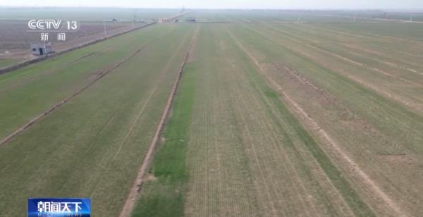 抢抓有利时机 加大金融支持力度 各地春灌工作正有序展开 抢抓有利时机 加大金融支持力度 各地春灌工作正有序展开