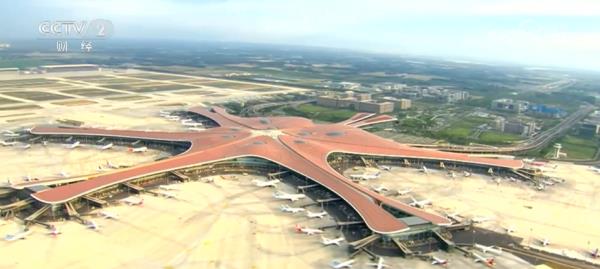 繁花结“金果” “赏花经济”为经济发展“增”色“添”香