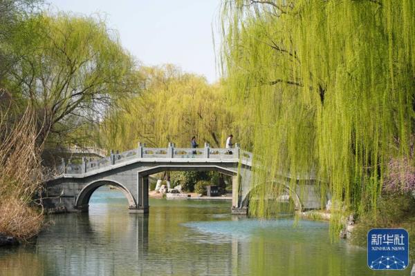 大明湖春日柳色新