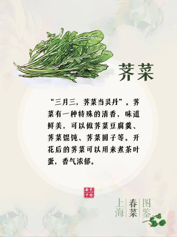 上海春菜图鉴