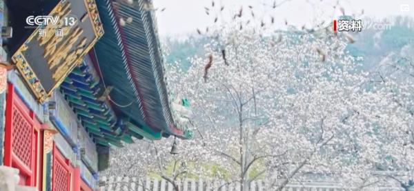 繁花结“金果” “赏花经济”为经济发展“增”色“添”香