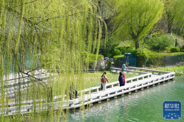 大明湖春日柳色新