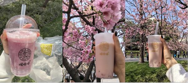 市民热情打卡点单!上海的这家娃哈哈奶茶店“重新活了”! 市民热情打卡点单!上海的这家娃哈哈奶茶店“重新活了”!