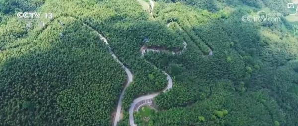 218.86亿、151.37亿、114.43亿……“中国绿”为世界添色