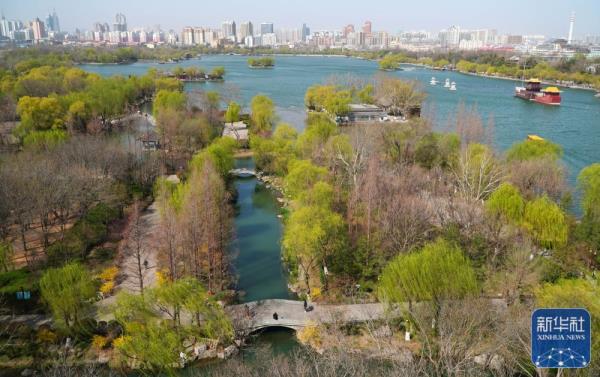 大明湖春日柳色新