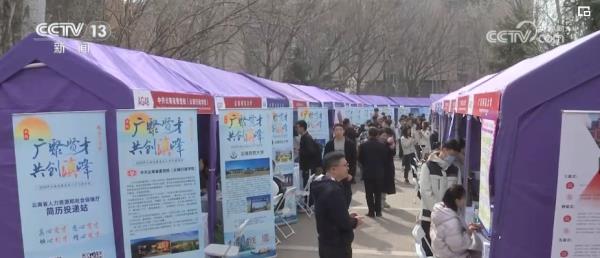 多部门全方位、精细化服务 助力学子高质量充分就业 “职”通未来 多部门全方位、精细化服务 助力学子高质量充分就业 “职”通未来