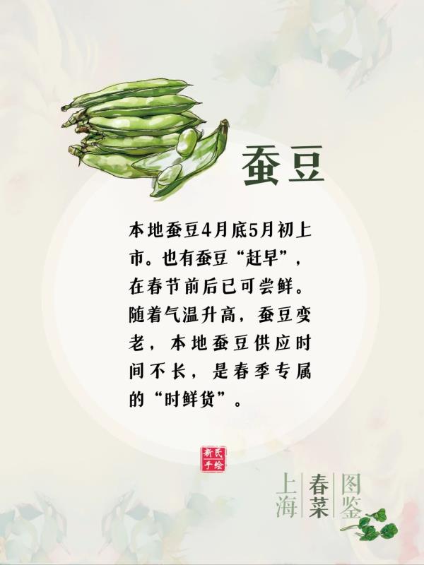 上海春菜图鉴