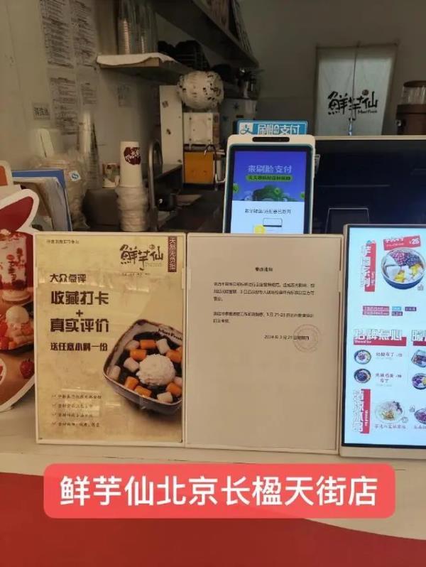 知名甜品店黑虫满屋！店员：让它自由飞翔吧