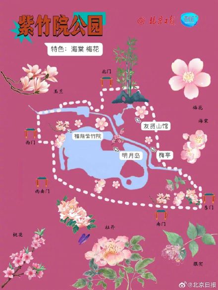 春日来信!打卡北京十个春花绽放的公园 春日来信!打卡北京十个春花绽放的公园