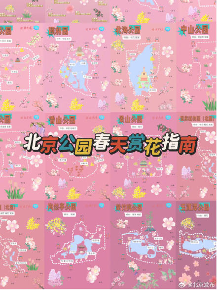 根本坐不住了！北京知名公园春游赏花图鉴上线