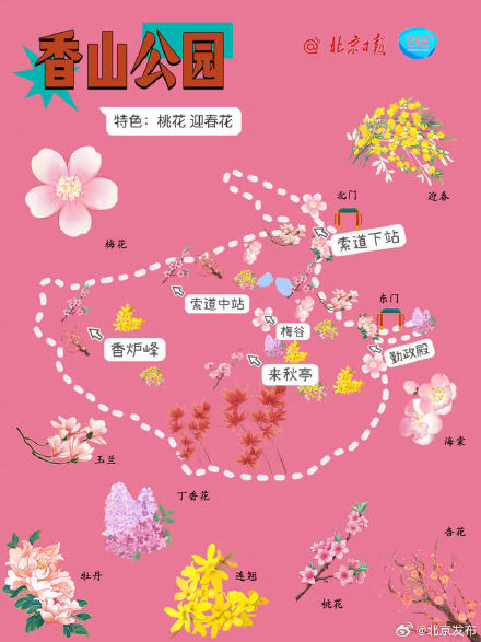根本坐不住了！北京知名公园春游赏花图鉴上线