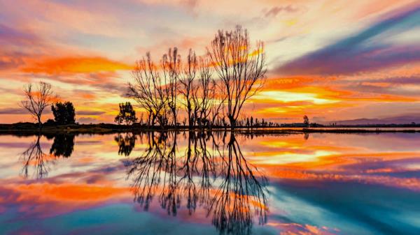 从西伯利亚到昆明:六千里路人鸥情 从西伯利亚到昆明:六千里路人鸥情