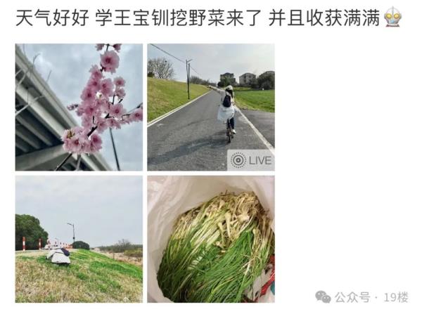 太火爆!杭州这拨大军,又出动了!有人专门跨越整座城,结果... 太火爆!杭州这拨大军,又出动了!有人专门跨越整座城,结果...