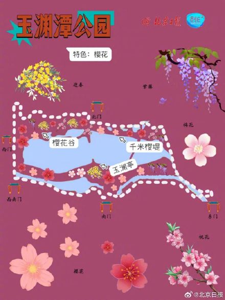 春日来信!打卡北京十个春花绽放的公园 春日来信!打卡北京十个春花绽放的公园