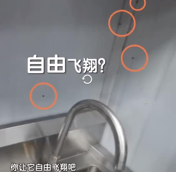 知名品牌道歉：关闭整顿，店长停职！ 网友：刚吃过，太恶心了！