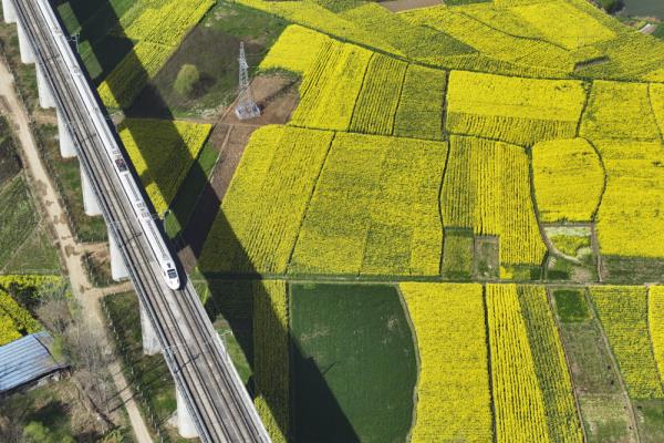 开往春天的列车