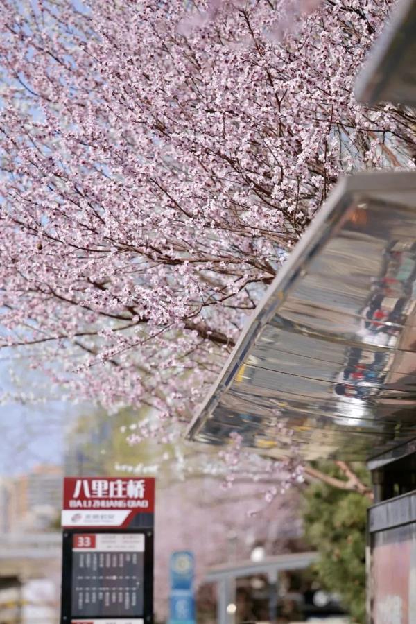 最近，北京海淀这个地铁口，刷屏了！