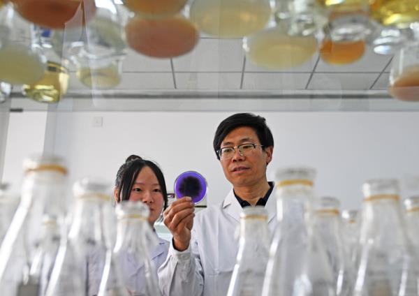 探访国家农业环境微生物种质资源库 探访国家农业环境微生物种质资源库