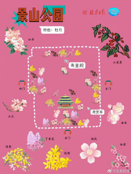 春日来信!打卡北京十个春花绽放的公园 春日来信!打卡北京十个春花绽放的公园