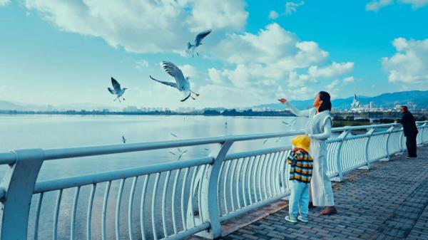 从西伯利亚到昆明:六千里路人鸥情 从西伯利亚到昆明:六千里路人鸥情