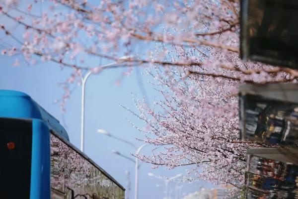 最近，北京海淀这个地铁口，刷屏了！