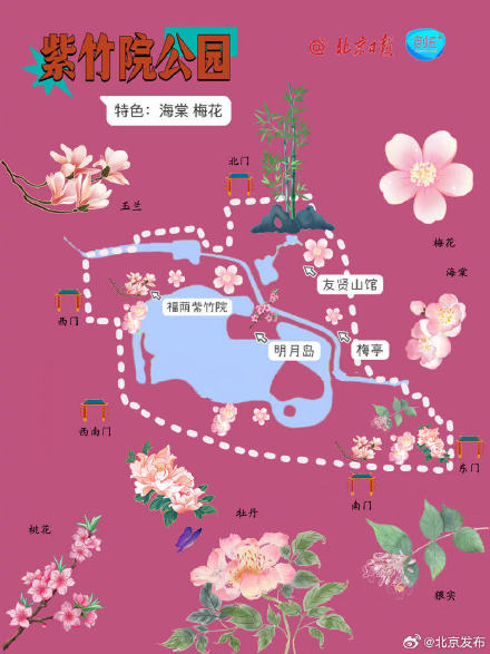 根本坐不住了！北京知名公园春游赏花图鉴上线