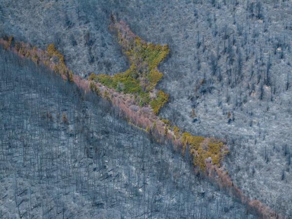 火灾无情人有情 火灾无情人有情