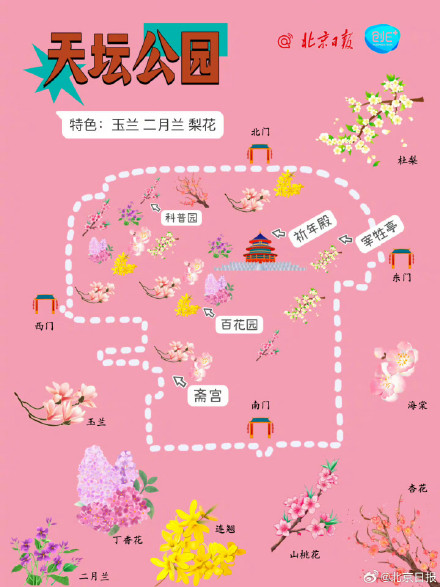 春日来信!打卡北京十个春花绽放的公园 春日来信!打卡北京十个春花绽放的公园