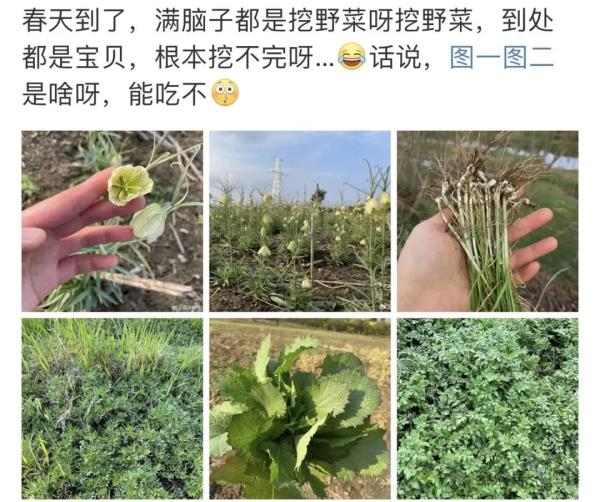 太火爆!杭州这拨大军,又出动了!有人专门跨越整座城,结果... 太火爆!杭州这拨大军,又出动了!有人专门跨越整座城,结果...