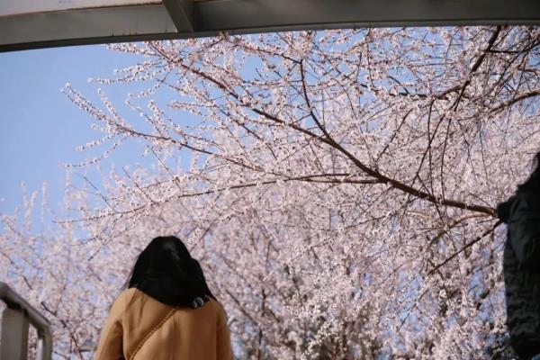 最近，北京海淀这个地铁口，刷屏了！