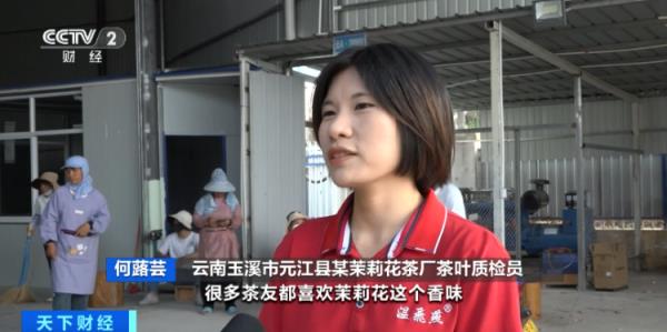 70元/公斤！云南元江千亩茉莉花上市，花价创历史新高