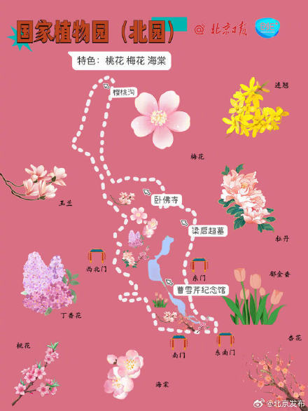根本坐不住了！北京知名公园春游赏花图鉴上线