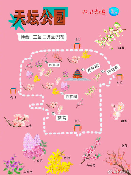 根本坐不住了！北京知名公园春游赏花图鉴上线