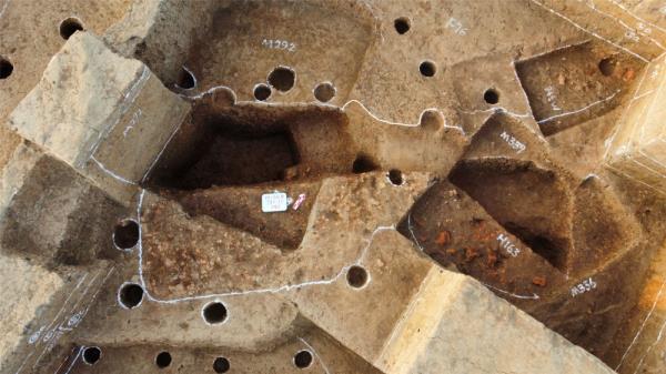 详解来了！快来看看2023全国十大考古新发现