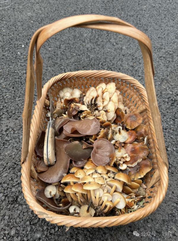 太火爆!杭州这拨大军,又出动了!有人专门跨越整座城,结果... 太火爆!杭州这拨大军,又出动了!有人专门跨越整座城,结果...