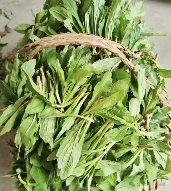 太火爆!杭州这拨大军,又出动了!有人专门跨越整座城,结果... 太火爆!杭州这拨大军,又出动了!有人专门跨越整座城,结果...