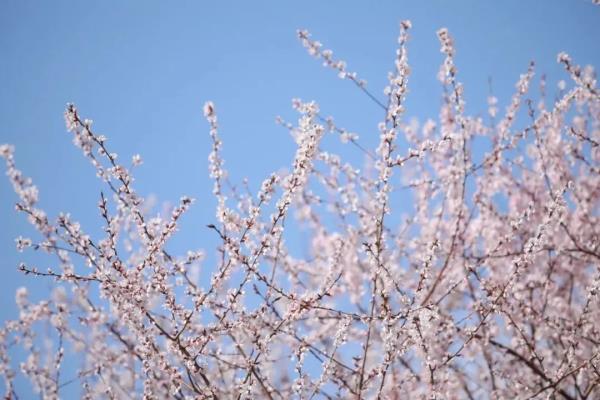 最近，北京海淀这个地铁口，刷屏了！