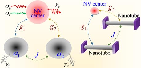 科技资讯｜研究实现单个纳米尺度物体无标记光学显微成像 等