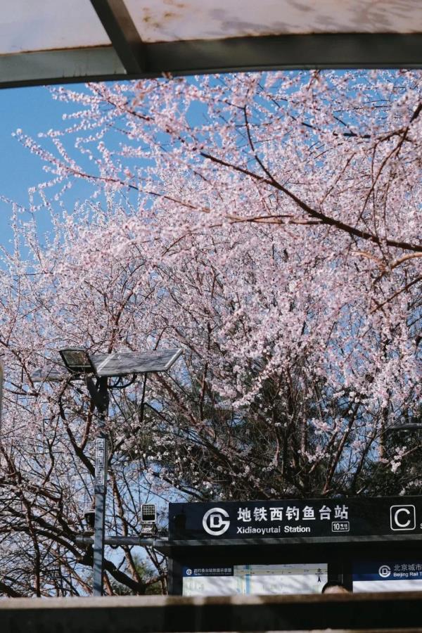 最近，北京海淀这个地铁口，刷屏了！