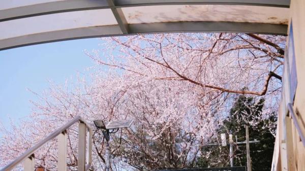 最近，北京海淀这个地铁口，刷屏了！