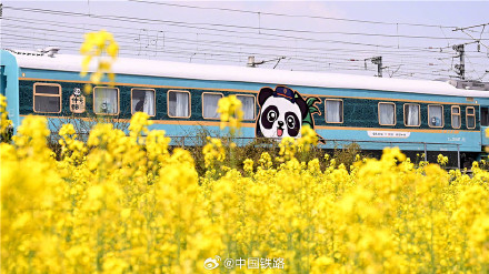 什邡号熊猫专列来了
