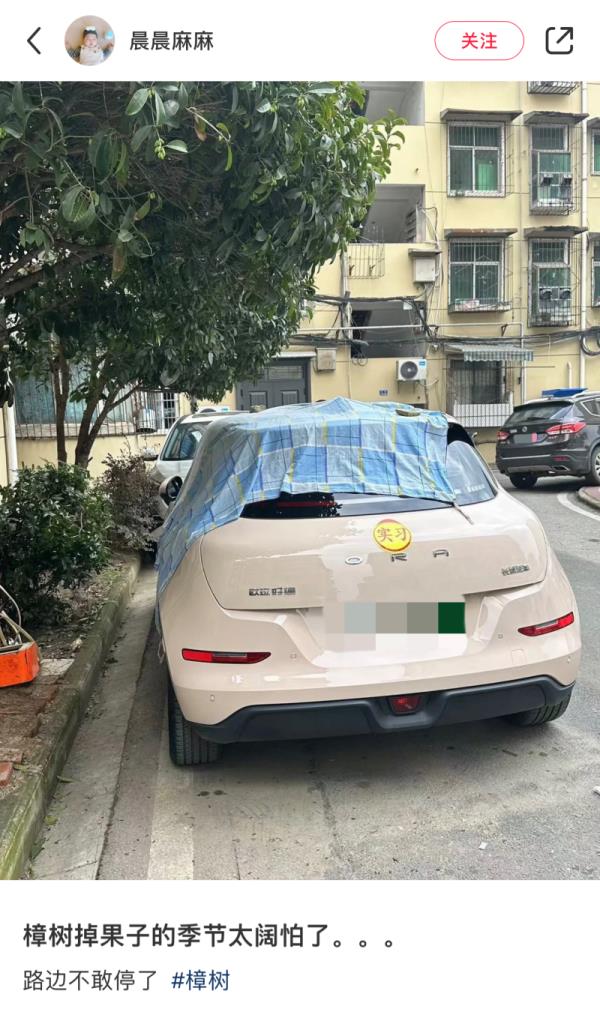 小心!苏州路上的爆浆“黑珍珠” 小心!苏州路上的爆浆“黑珍珠”