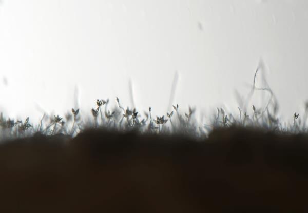 探访国家农业环境微生物种质资源库 探访国家农业环境微生物种质资源库