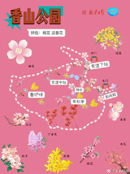 春日来信!打卡北京十个春花绽放的公园 春日来信!打卡北京十个春花绽放的公园