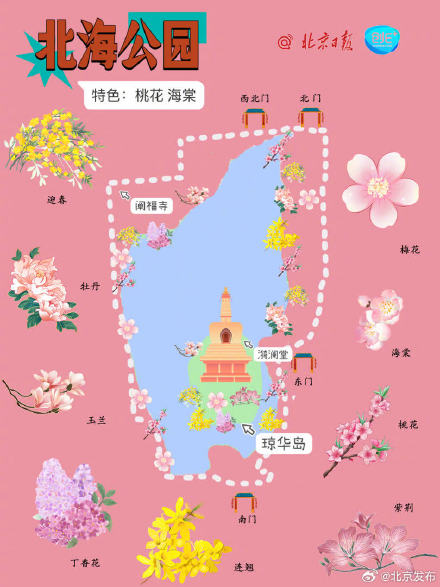 根本坐不住了！北京知名公园春游赏花图鉴上线