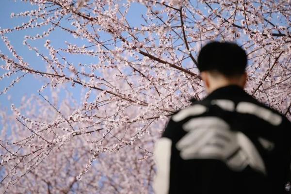 最近，北京海淀这个地铁口，刷屏了！