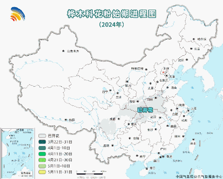 过敏星人查收！全国花粉预报指南
