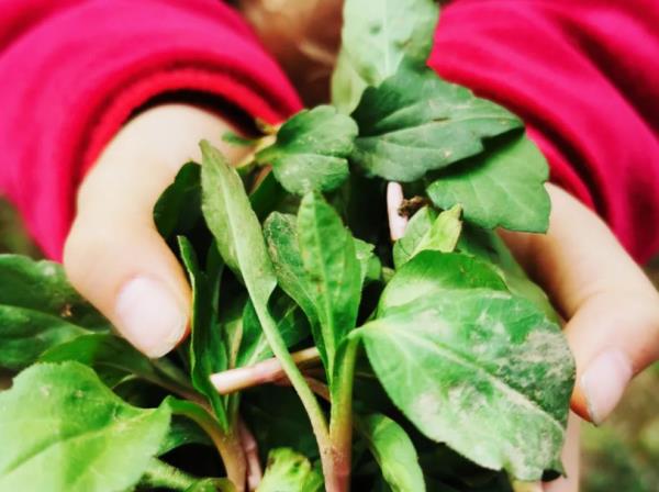 太火爆!杭州这拨大军,又出动了!有人专门跨越整座城,结果... 太火爆!杭州这拨大军,又出动了!有人专门跨越整座城,结果...