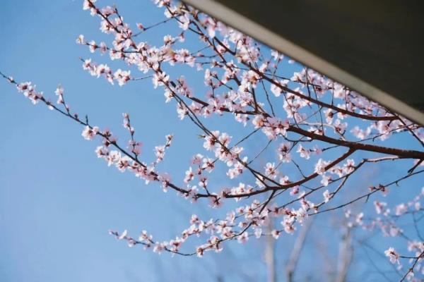 最近，北京海淀这个地铁口，刷屏了！